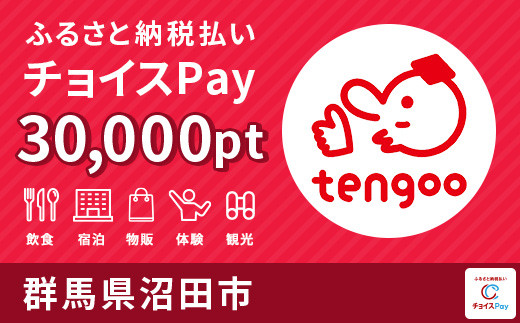 
沼田市チョイスPay 30,000pt（1pt＝1円）【会員限定のお礼の品】
