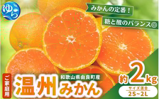 【先行予約】家庭用 温州みかん 約2kg ※2025年11月中旬頃～2025年12月中旬頃に順次発送 / 農家直送 くだもの  果実  柑橘 果物 フルーツ 国産 和歌山県 由良町 ご家庭用 人気 おすすめ【nktn016】