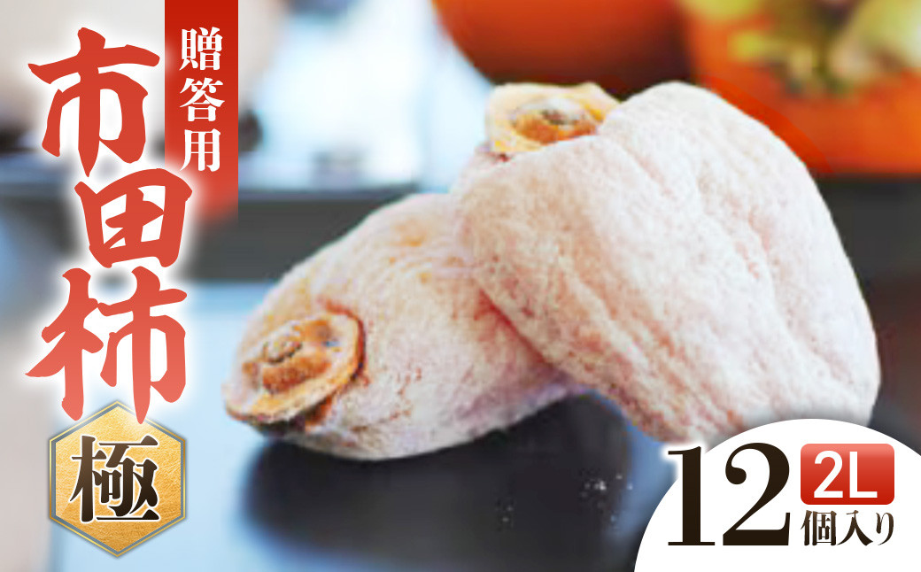 
                  信州の特産品「市田柿・極」贈答用2Lサイズ（12個入）＜2027年1月下旬～2月下旬発送＞
                