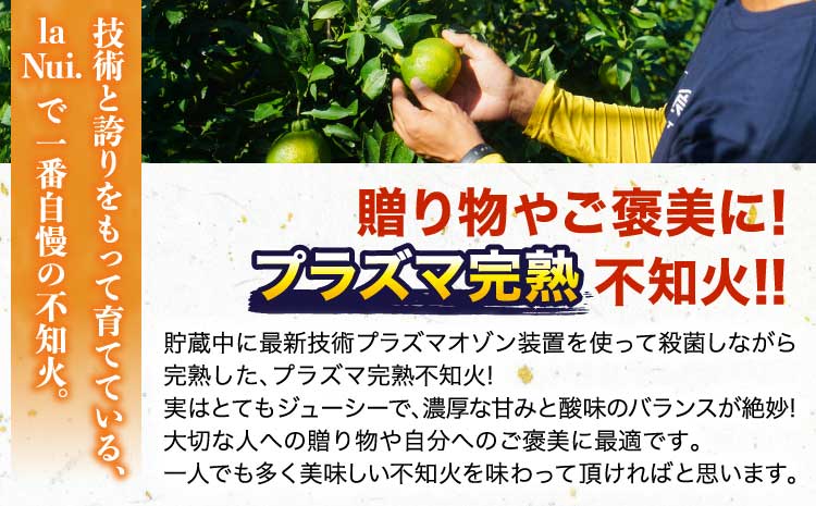先行予約 不知火 【2026年3月上旬~2026年4月上旬頃発送予定】 宇城市産 ハウス栽培 プラズマ完熟不知火 約3kg（7～12玉前後） しらぬい みかん 蜜柑 柑橘 国産 九州 【株式会社la 