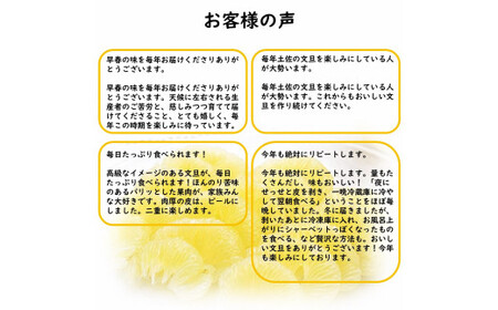生産者直送 土佐文旦 家庭用 2L～4Lサイズ 約4.5kg 高知県土佐市 【土佐文旦産直協同組合】 [BQAH001]