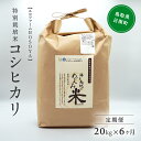 【ふるさと納税】【6カ月連続お届け】令和5年産 海と天地のめぐみ米（コシヒカリ） 白米20kg