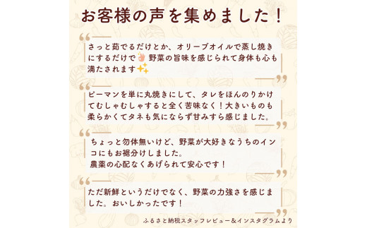 野菜 旬の野菜セット 5品目 特別栽培 隔月発送 3カ月 偶数月（2/4/6/8/10/12）発送 | 野菜 やさい 採れたて 生野菜 おまかせ 詰め合わせ 新鮮 旬 季節 春野菜 夏野菜 秋野菜 葉物 根菜 季節限定 地元産 野菜 農業 農家 食育 お取り寄せ 埼玉県 久喜市 たかしま農園