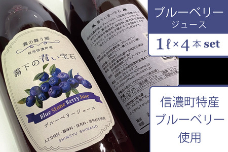 【ふるさと納税】ぶんぶく亭「Stoneブルーベリージュース」1L×4本  信濃町産のブルーベリーを贅沢に使った濃厚なジュースです【長野県信濃町】