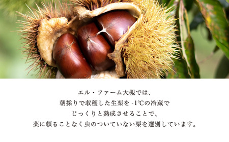 《12月発送》京栗 生むき栗 冷凍 1kg（250g×4袋） 栗 栗 栗