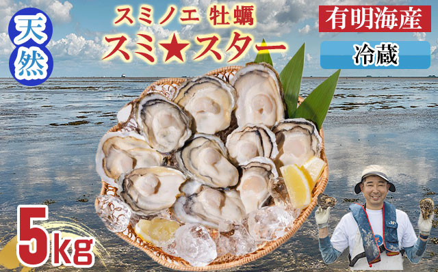 
            【先行予約】天然 有明海産「冷蔵スミノエ牡蠣」スミ☆スター5Kg　はしま海苔 
          