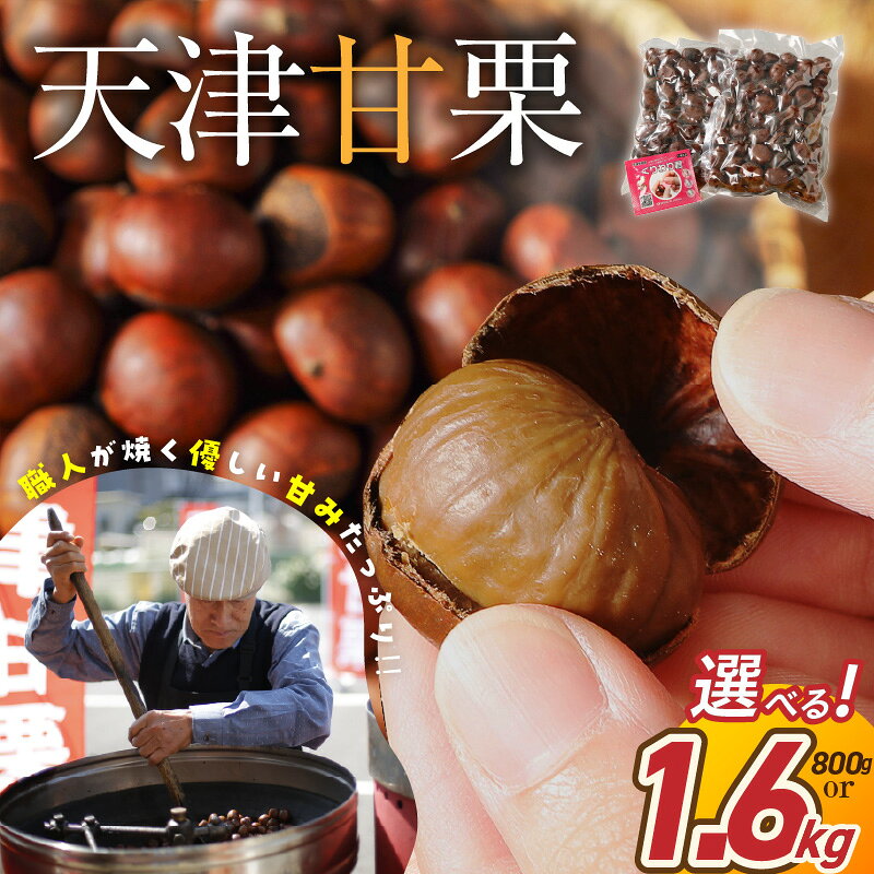 【ふるさと納税】皮付き 天津甘栗 選べる 容量 800g 1.6kg 焼いた当日に発送 やさしい甘み 保存料不使用 甘栗 焼き栗 栗爪付き ベテラン職人が焼き上げる 栗ご飯 和菓子 洋菓子 おやつ スイーツ マロン 常温 愛知県 碧南市 送料無料