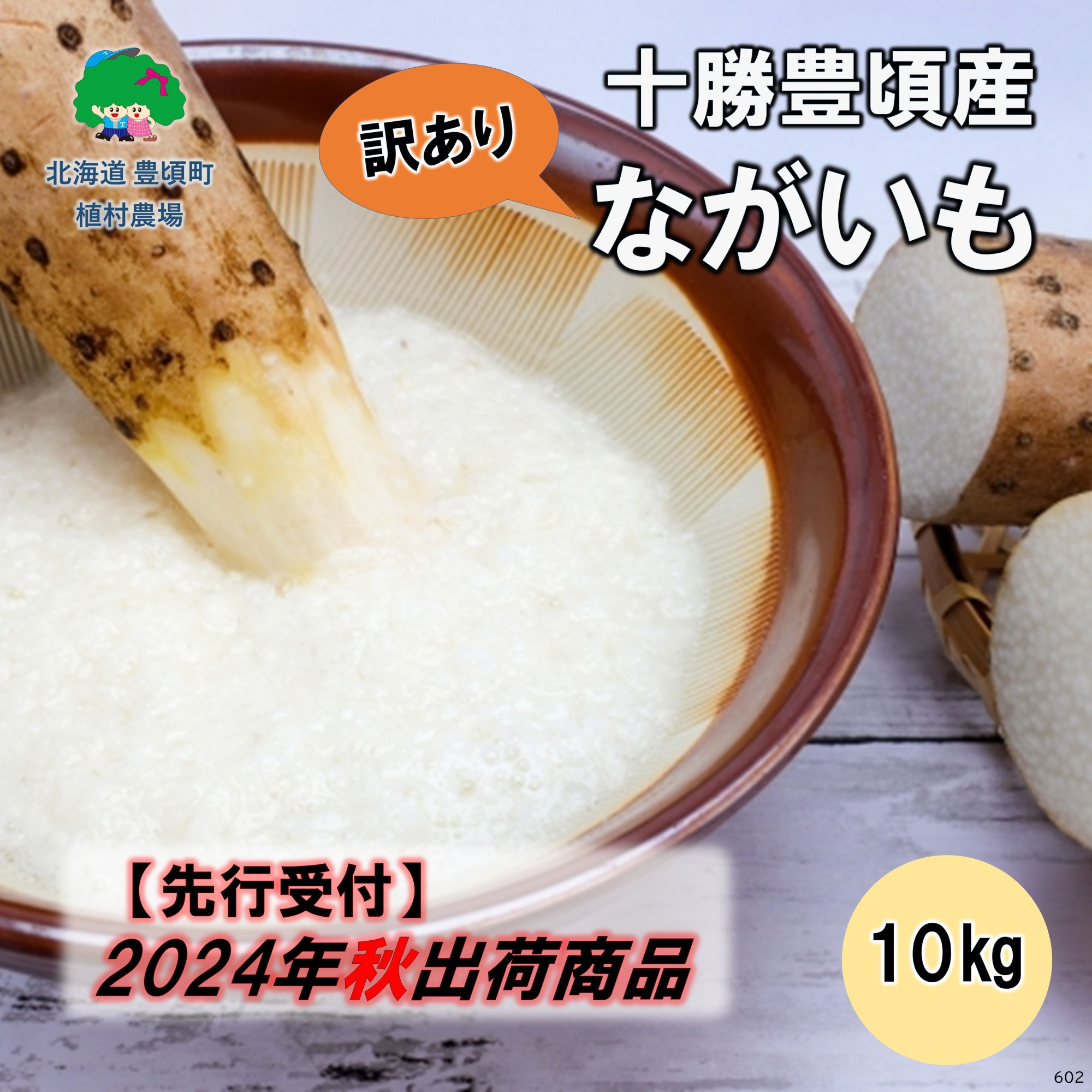 
【訳あり】十勝豊頃産 ながいも10kg【2024年秋出荷（先行受付）】【植村農場】
