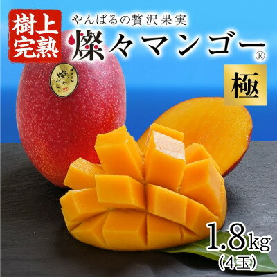 【ふるさと納税】【2025年発送・最高級 極】燦々マンゴー1.8kg(4玉)【配送不可地域：離島】【1622441】