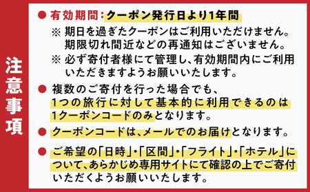 奄美市 に 泊まる ふるさと納税 旅行 クーポン【 12,000円 分 】 A184-004 割引券 ツアー 電子クーポン