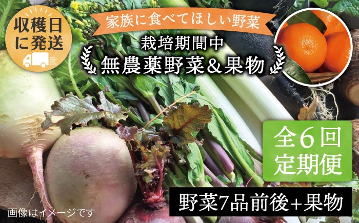 
                  【 全6回 定期便 】 こだわり 野菜 （ 7品 前後 ） セット ＋ 果物 《糸島》【オーガニックナガミツファーム】 	[AGE010]
                