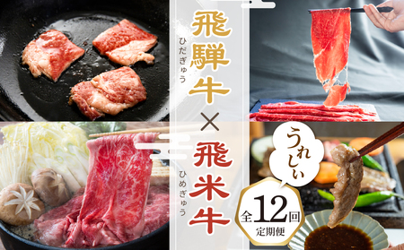 飛騨牛×飛米牛 全12回のブランド牛定期便 焼肉 すき焼き しゃぶしゃぶ ハンバーグ 切り落とし すきやき 切落し 味付け 国産 ブランド牛 食べ比べ セット 牛肉 肉 和牛 お楽しみ 12回 毎月 