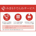 【ふるさと納税】郵便局のみまもりサービス「みまもり携帯電話サービス」（12カ月）　【チケット】