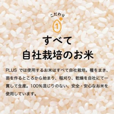 ふるさと納税 関市 【訳あり】期間限定で寄附額改定!令和7年産 ハツシモ【白米】5kg 数量限定 M8 |  | 03