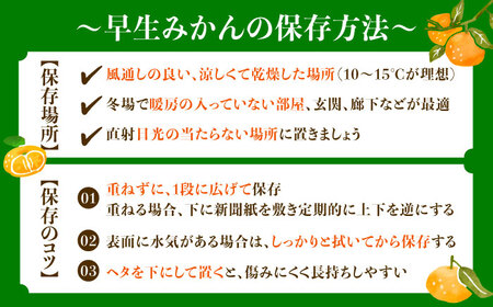 早生みかん 3kg 小玉 わせみかん わせ 江田島産 広島 みかん ミカン 柑橘 柑橘類 果物 くだもの フルーツ 家庭用 濃厚 デザート 旬 特産品 温州みかん 国産 江田島市/ハルテラス農園[XC