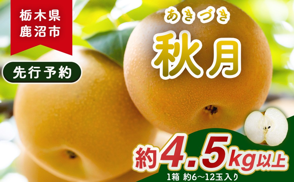 
                  【先行予約】梨(秋月) 6玉～12玉入り×1箱 (4.5kg以上) ※2026年9月上旬～9月下旬頃に順次発送予定
                