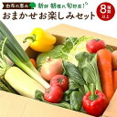 【ふるさと納税】由布の恵み【新鮮 朝穫れ旬野菜！8種類以上！】おまかせお楽しみセット | 野菜 詰合せ 詰め合わせ 新鮮 湯布院 由布院 ゆふいん 大分県 由布市 大分 返礼品 お取り寄せグルメ 取り寄せ