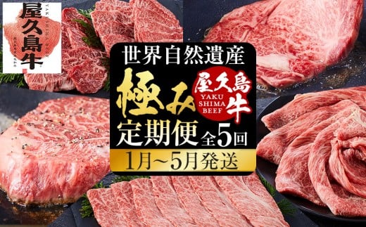 【定期便 全5回】【屋久島牛】世界自然遺産極み定期便＜1月～5月発送＞