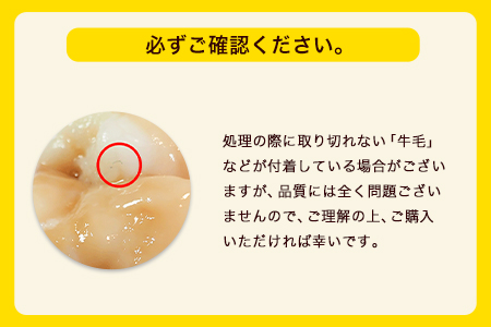 特撰博多もつ鍋 【まろやかあごだし醤油仕立て】 2～3人前 300g 独楽《30日以内に順次出荷(土日祝除く)》