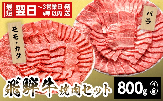 【最短翌日発送】飛騨牛 贅沢！焼肉セット 4人前 800g  牛肉 和牛 肉 焼肉 BBQ キャンプ バーベキュー 霜降り カルビ 赤身 モモ カタ 東白川村 岐阜 岐阜県産 養老ミート