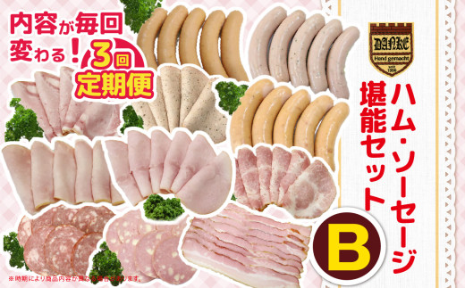【定期便3回】ハム・ソーセージ堪能セットB | 肉 豚肉 豚 加工 加工肉 ハム ソーセージ ギフト セット 手作り 低添加 栃木県 特産品