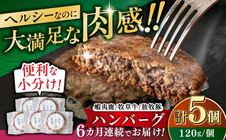 【全6回定期便】【蝦夷鹿×牧草牛×放牧豚】ハンバーグ 5個   鹿肉 牛肉 豚肉 小分け 冷凍 北海道 [AXBP020]