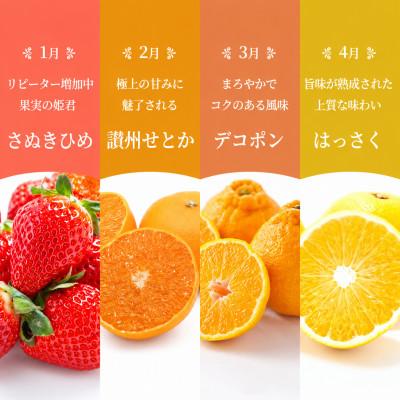 ふるさと納税 丸亀市 【発送月固定定期便】【百果繚乱】 フルーツ 定期便 12ヶ月 城下町の果実 セット全12回 |  | 01