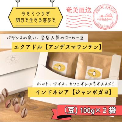 ふるさと納税 宇検村 奄美大島〈とよひかり珈琲店〉店主オススメの自家焙煎コーヒー豆2種類　各100g(豆のまま)