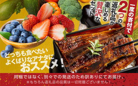 青うなぎ＆野菜  渥美半島よくばりセット 蒲焼き 鰻 ウナギ うなぎ蒲焼 惣菜 幻 簡単調理 おいしい 高評価 ふるさと納税 魚 さかな 魚介 ランキング 野菜ソムリエ厳選 旬の野菜 フルーツ 詰め合