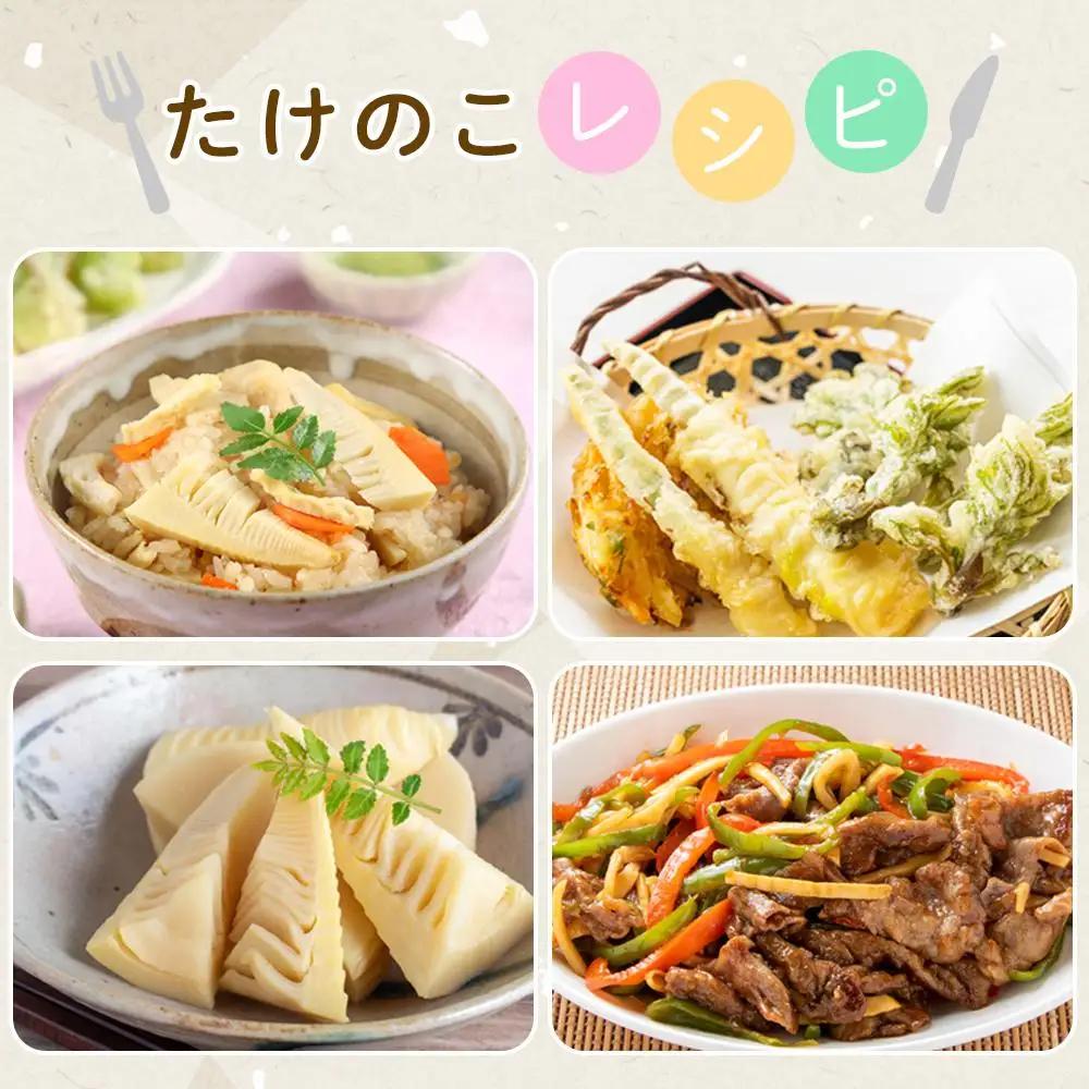 ＜先行予約／令和9年(2027年)３月下旬頃から発送＞貝塚市木積産　朝掘り筍　約2kg