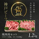 【ふるさと納税】 神戸牛 焼肉用セット 1.2kg 神戸ビーフ 神戸肉 ブランド和牛 ブランド牛 国産和牛 黒毛和牛 焼肉 焼き肉 牛肉 牛焼き肉 牛焼肉 冷凍 国産牛 国産牛肉 兵庫県 朝来市 バーベキュー BBQ 肩ロース かた もも AS8F19-ASGYS5