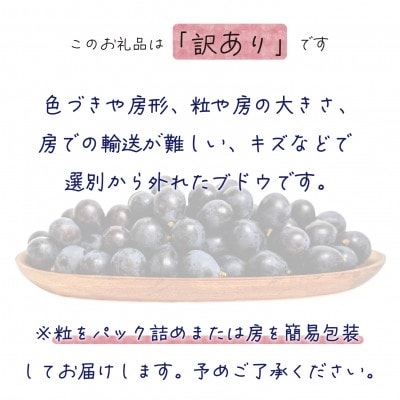 【2026年先行受付】岡山　花笑み農園のブドウ『訳ありBKシードレス』1kg　WB-1【配送不可地域：離島・北海道・沖縄県】