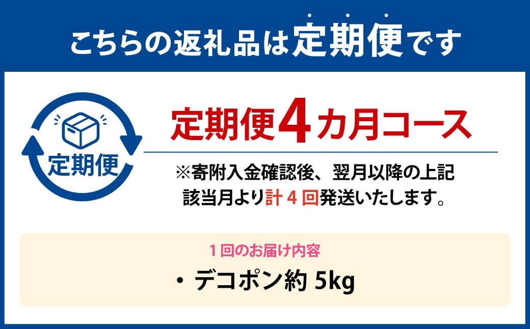 【年4回定期便】デコポン約5kg（15～20玉入り）×4回