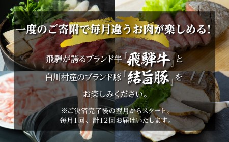 白川郷 まるごと 定期便 全12回 お届け 飛騨牛&結旨豚 定期便 [S361]