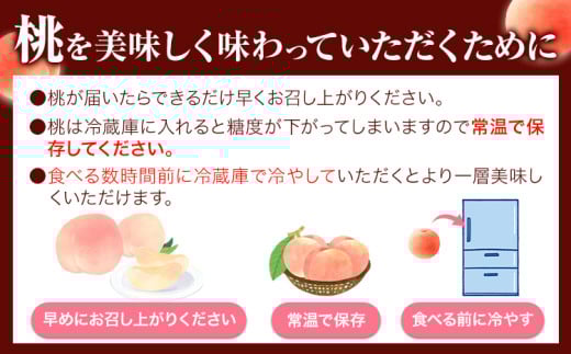 【先行予約】【7月中旬〜8月上旬頃出荷】桃 通常品種 2kg もも 岡山 白鳳 紅清水 よし姫 なつおとめ 川中島白桃 岡山県 笠岡市 送料無料 果物 フルーツ お取り寄せ