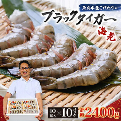 【ふるさと納税】魚兵水産こだわりのブラックタイガー海老　 10尾10パック(計2400g程度)【配送不可地域：離島】【1215915】