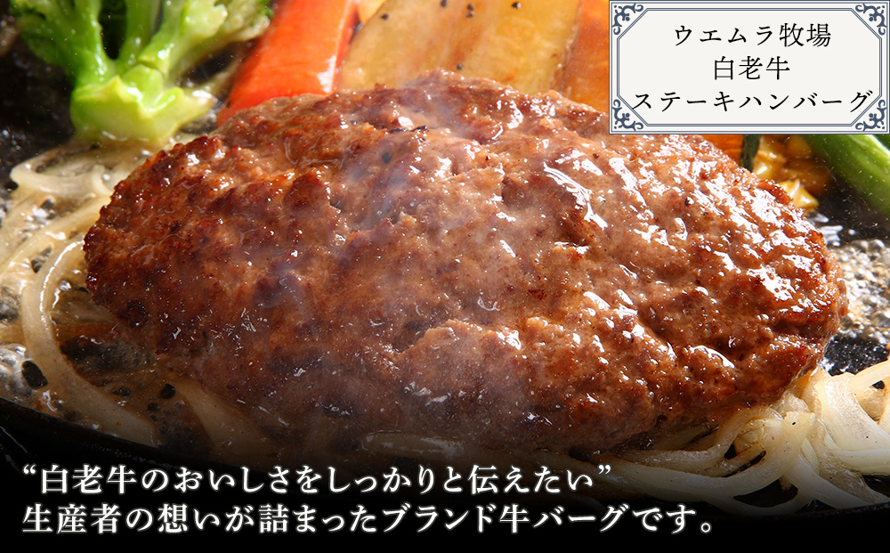 ［食材王国しらおい］いつでも白老グルメセット AI084