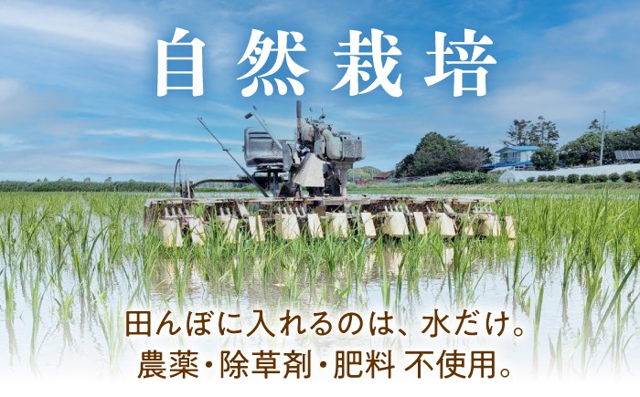 玄米 自然栽培 ななつぼし