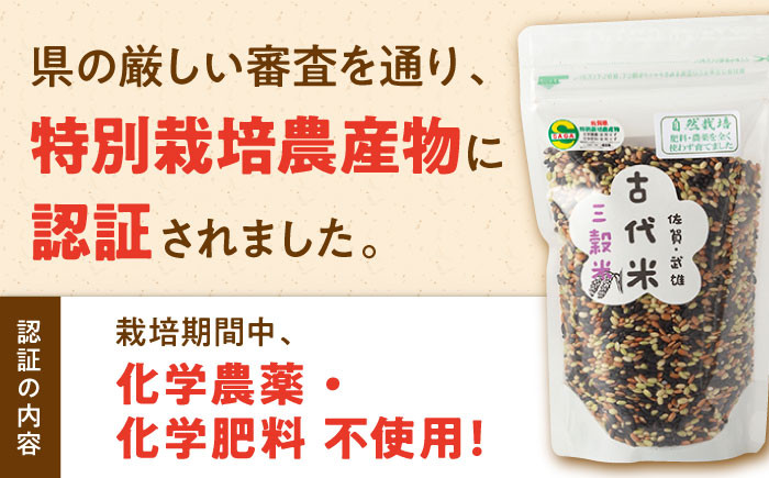 【自然農法で育てた】古代米 三穀米 1.2kg（300g×4袋） 雑穀 雑穀米 米 お米