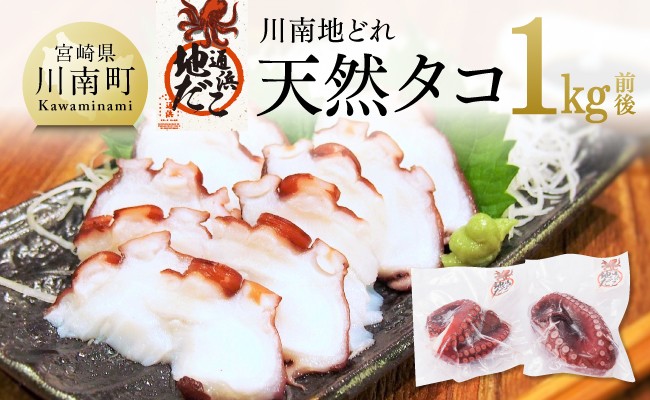 
            漁協直送！天然タコ（湯がき済）小分けで1kg前後 【 たこ 蛸 海産物 日向灘 地どれ 】
          