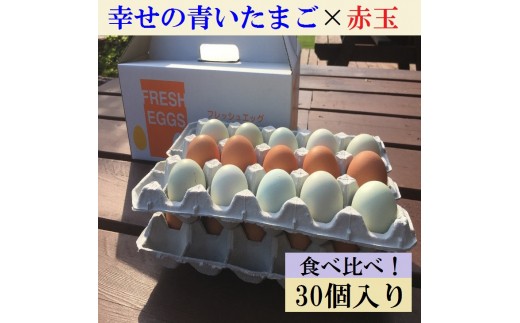 江原ファーム　地養卵＆アローカナハーフセット 計３０個 割れ補償 | 卵 30個 食べ比べ 玉子 たまご タマゴ 生卵 鶏卵 生みたて 産みたて アローカナ 地養卵 食べくらべ セット 新鮮 濃厚 健康 青い卵 TKG たまごかけごはん  ご飯のお供 国産 ギフト 贈答 贈り物 お中元 お歳暮 プレゼント 茨城県 古河市 直送 農家直送 産地直送 _AG07