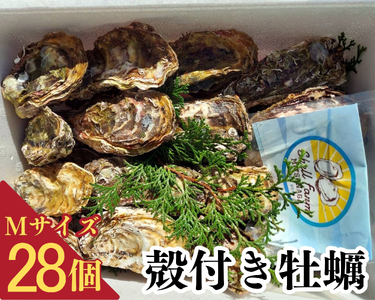 冷蔵かき 28個 かき 空コース 牡蠣
