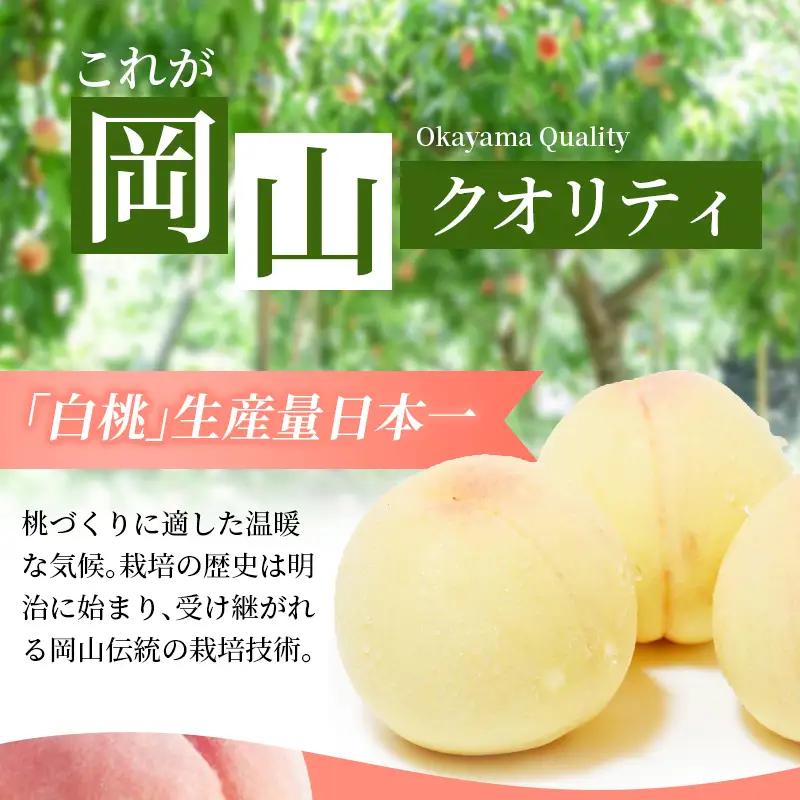 訳あり 桃 岡山県産訳あり白桃白皇3.8kg 【hnds008】