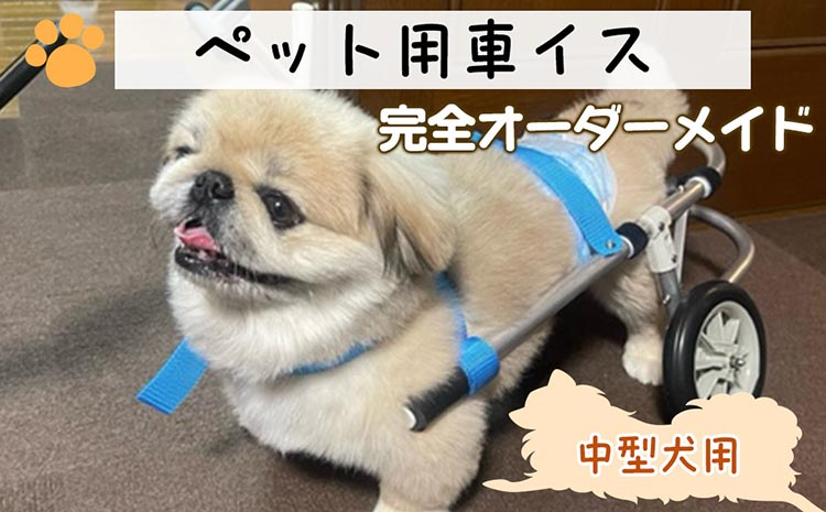 
犬用車いす 2輪カート 中型犬用（7～14Kg）｜ペット用 車椅子 車イス 軽量 手作り オーダーメイド 2輪車 4輪車 ビーグル コーギー フレンチブルドッグ
