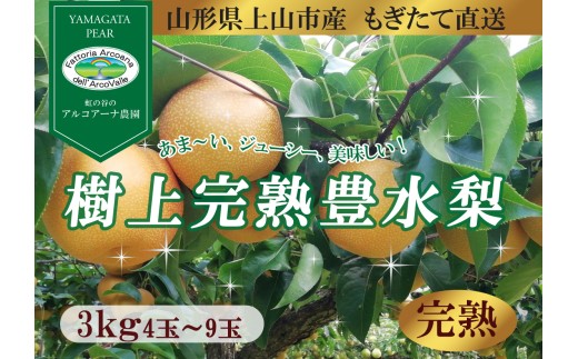 【樹上完熟】和梨「豊水」　３ｋｇ　４～９玉（直送便）　0148-2609