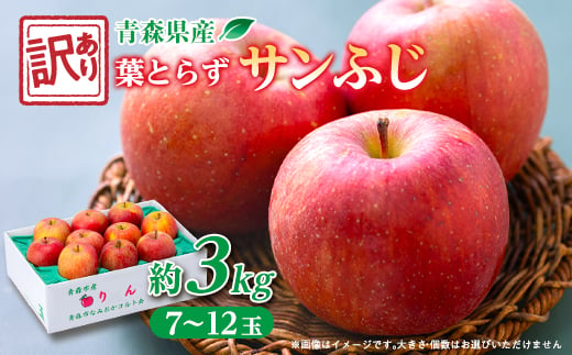 
                  青森市産りんご「葉とらずサンふじ」約3kg(家庭用)【1466365】
                
