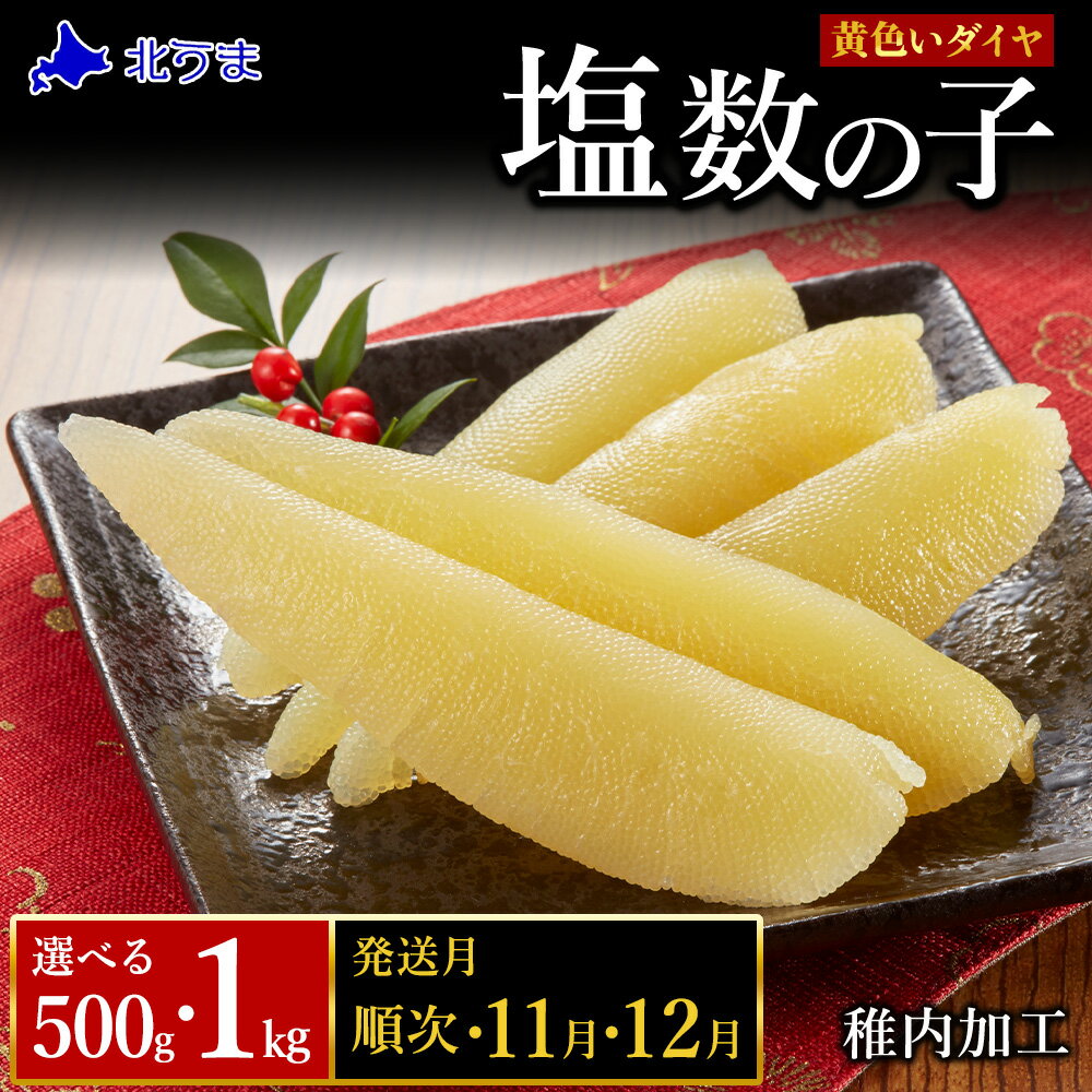 【ふるさと納税】【黄色いダイヤ】 はじける「パリッ」は高級の証 塩数の子 選べる500g～1kg 1パック500gかずのこ カズノコ 数の子 塩数の子 魚卵 海鮮 海産物 北海道ふるさと納税 稚内 【配送不可地域：離島・沖縄県】