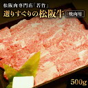 【ふるさと納税】 竹内牧場選りすぐり 松阪牛 焼肉用 500g 竹内牧場 選りすぐり 国産牛 和牛 ブランド牛 松阪牛 牛肉 肉 高級 人気 おすすめ 日本三大和牛 松坂 国産 霜降り 冷凍 ふるさと納税 焼肉 焼き肉 牛 大人気 贅沢 おすすめ 贈り物 リピート 三重県 多気町 WT-23