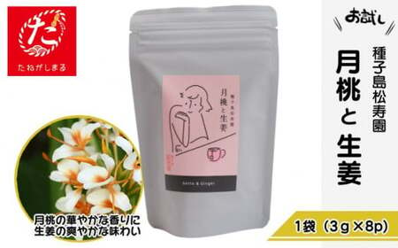 【たねがしまる4000】 種子島 松寿園 香る 紅茶 フレーバーティー 「 月桃 と 生姜 」1袋　NFN924【100pt】