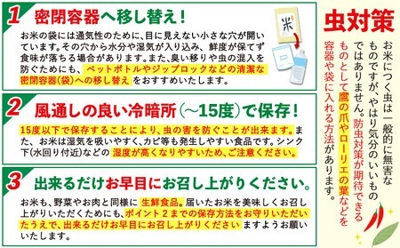 【6ヶ月定期便】阿蘇びより 無洗米 20kg (5kg×4袋)《お申込み月の翌月から出荷開始》 ｜国産米 人気米 熊本県産米 お米 生活応援米